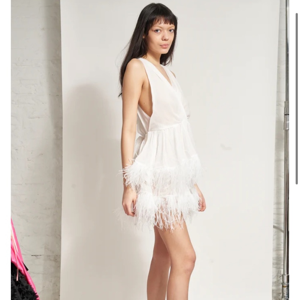 Dana Foley Two Tier Feathered Dress